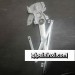 玻璃升降器